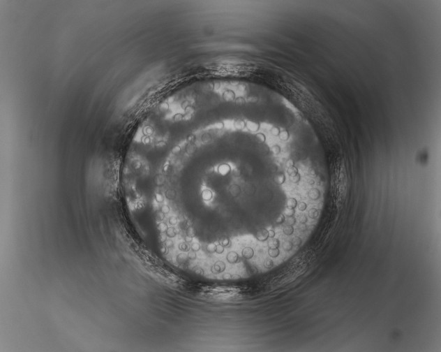 X0000114640554200912011051