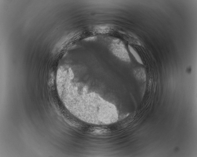 X0000114640555200912011051