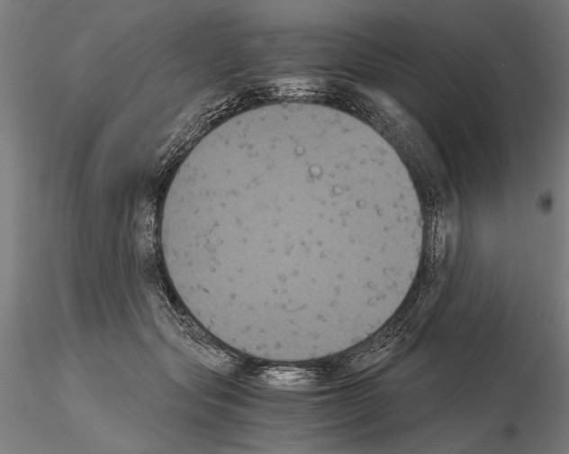 X0000114640557200912011051