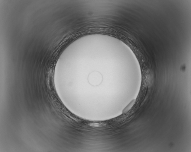 X0000114640558200912011051