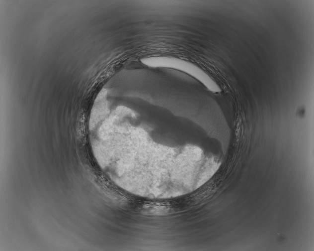 X0000114640559200912011051