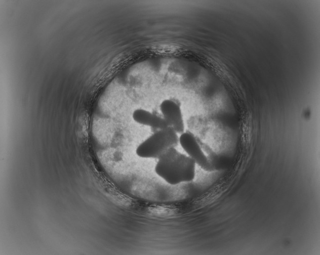 X0000114640561200912011051