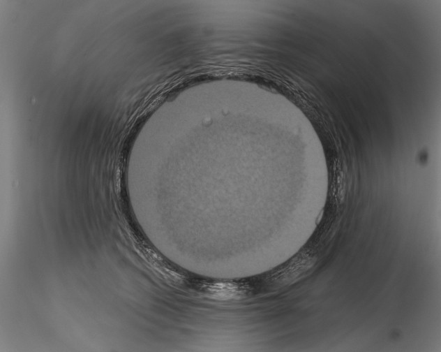 X0000114640562200912011051