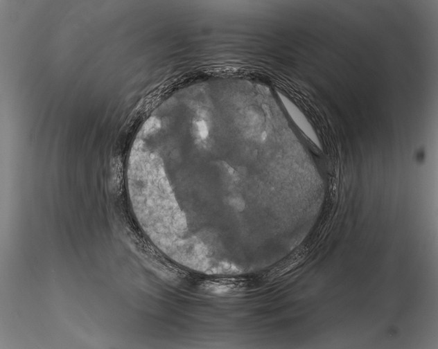 X0000114640563200912011051