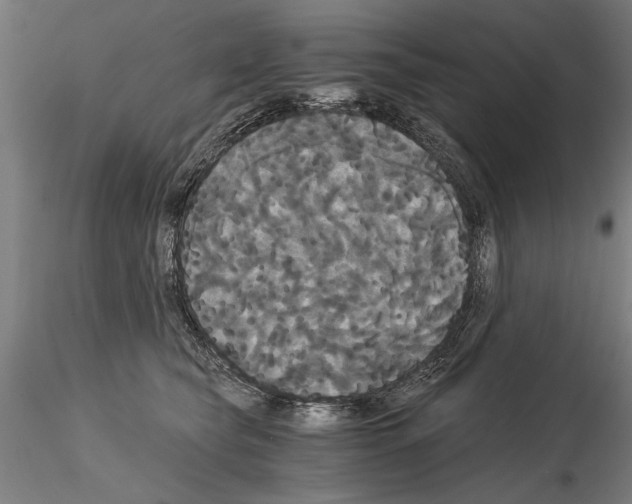 X0000114640565200912011051