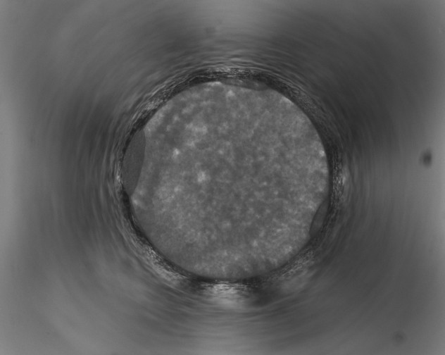 X0000114640566200912011051