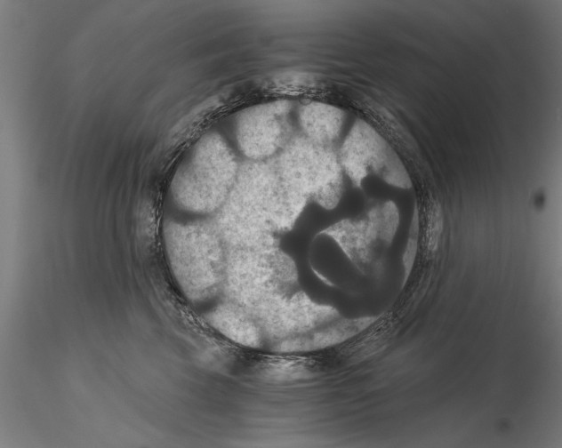 X0000114640569200912011051