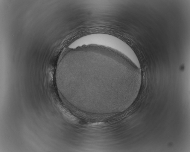 X0000114640570200912011051