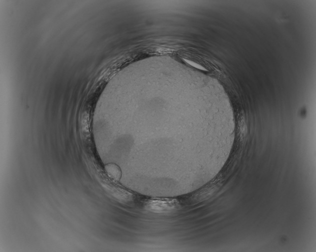 X0000114640571200912011052