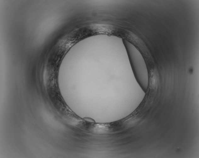 X0000114640573200912011052