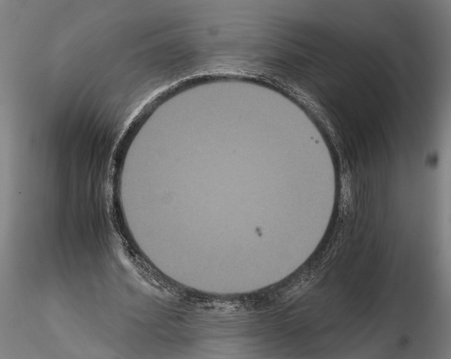 X0000114640580200912011051