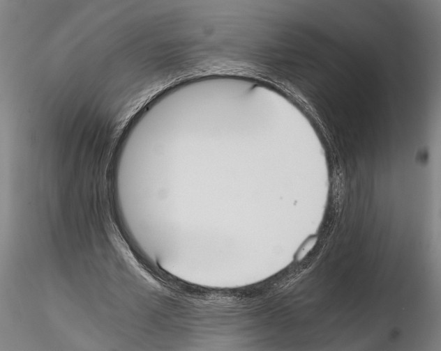 X0000114640581200912011051