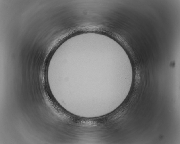 X0000114640582200912011051