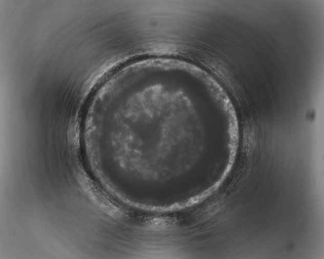 X0000114640584200912011051