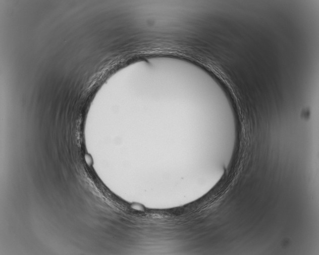 X0000114640585200912011051