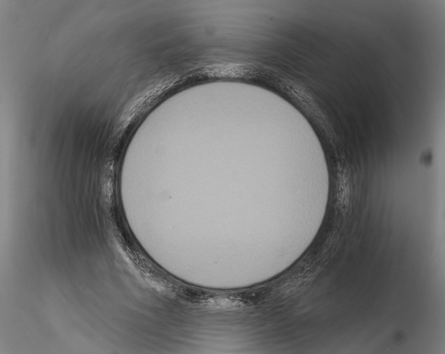 X0000114640586200912011051