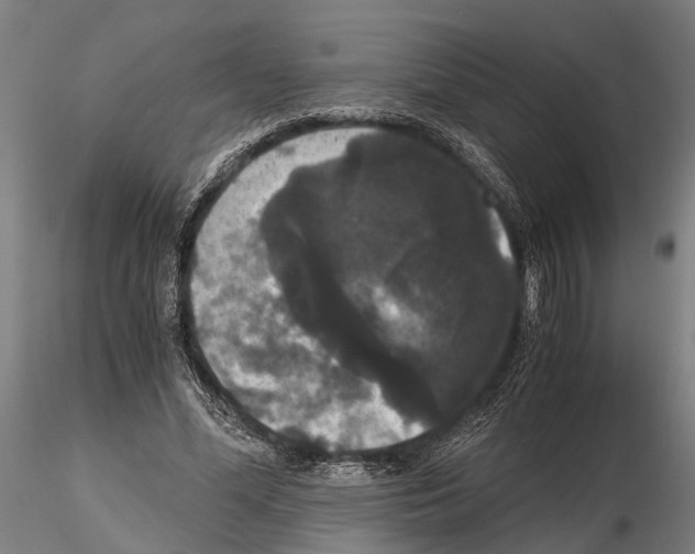 X0000114640588200912011050