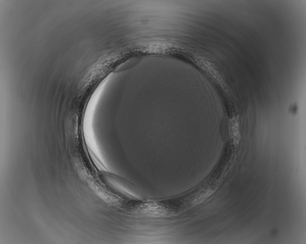 X0000114640589200912011050