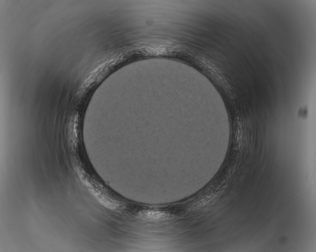 X0000114640590200912011050