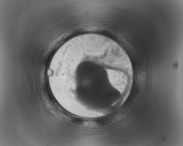 X0000114640591200912011050