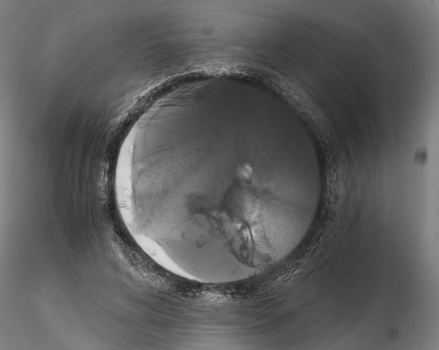 X0000114640592200912011050