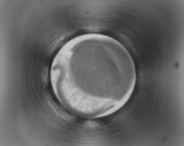 X0000114640596200912011050