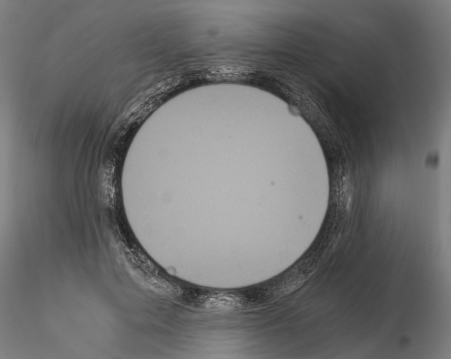 X0000114640599200912011050