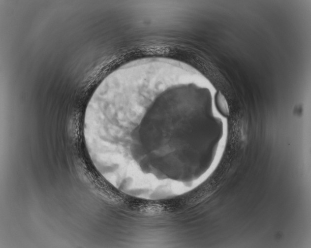 X0000114640600200912011050