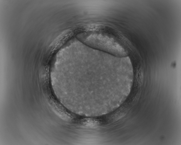 X0000114640601200912011050