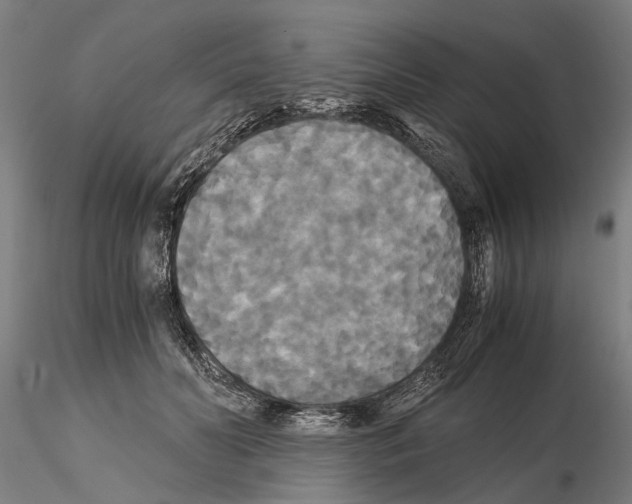 X0000114640606200912011050