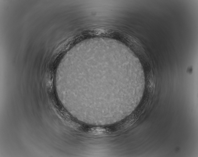 X0000114640607200912011050