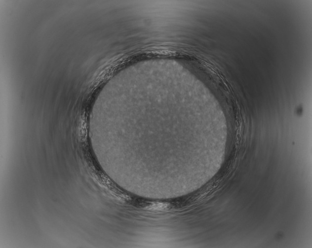 X0000114640609200912011050