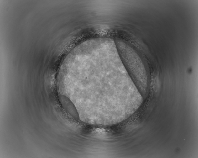 X0000114640611200912011050