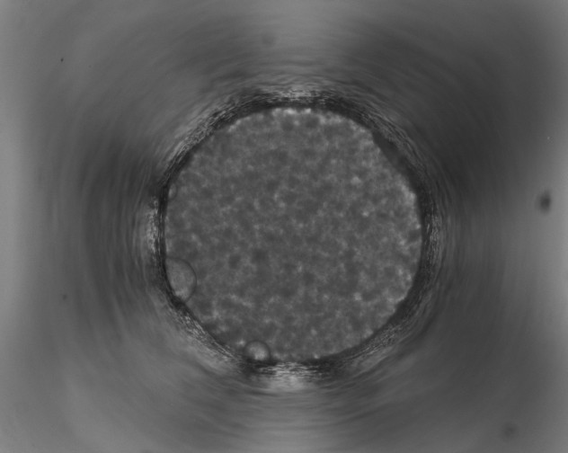 X0000114640612200912011050