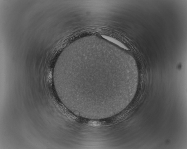 X0000114640613200912011050