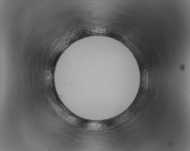 X0000114640614200912011050