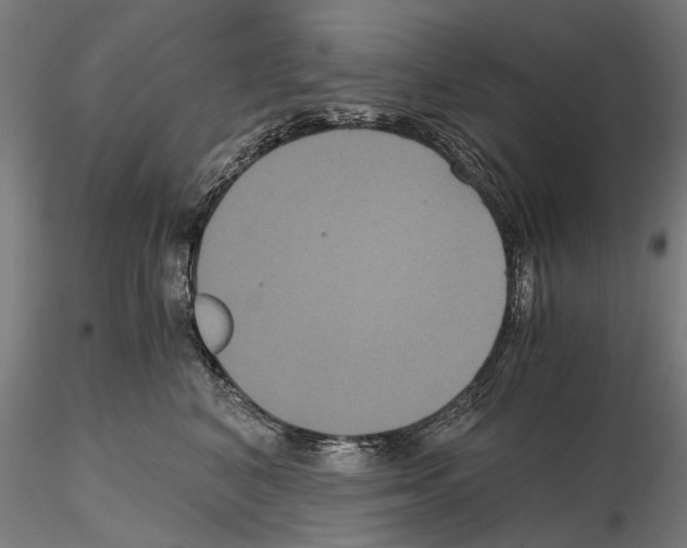 X0000114640616200912011050