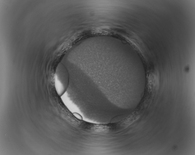 X0000114640617200912011050