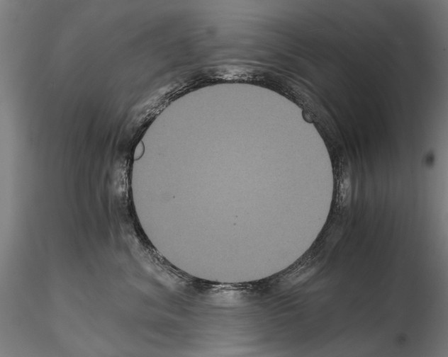 X0000114640620200912011050