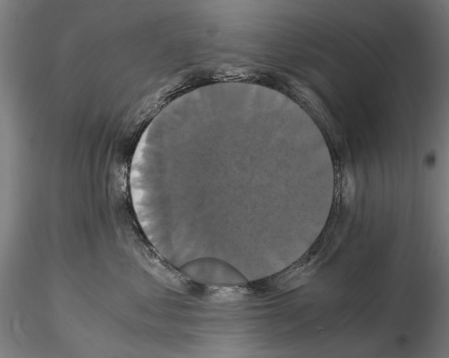 X0000114640621200912011050