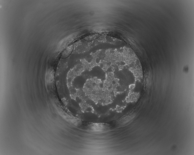 X0000114640623200912011050