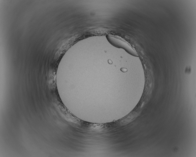 X0000114640624200912011050