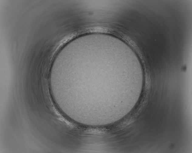 X0000114640625200912011049