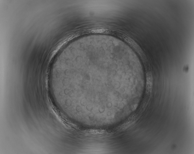 X0000114640626200912011049