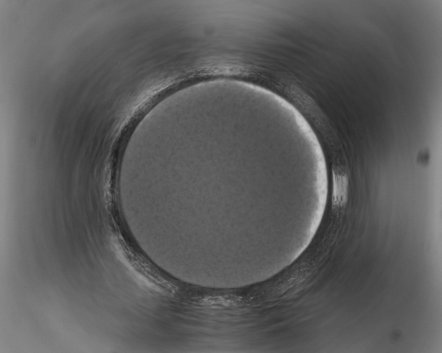 X0000114640627200912011049