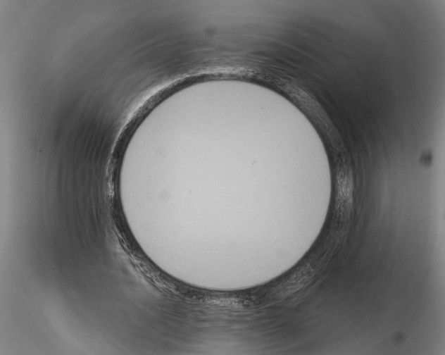 X0000114640628200912011049