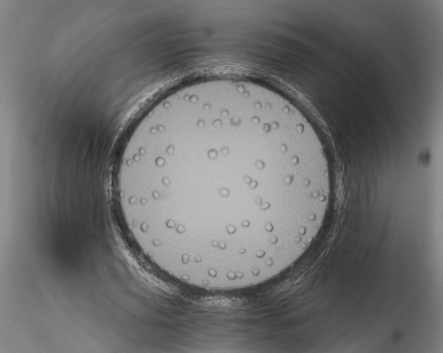 X0000114640629200912011049