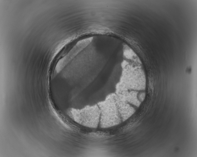 X0000114640630200912011049