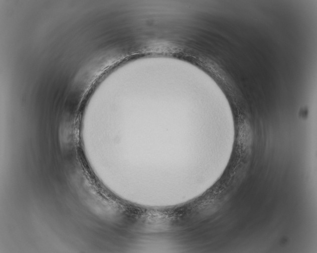 X0000114640632200912011049