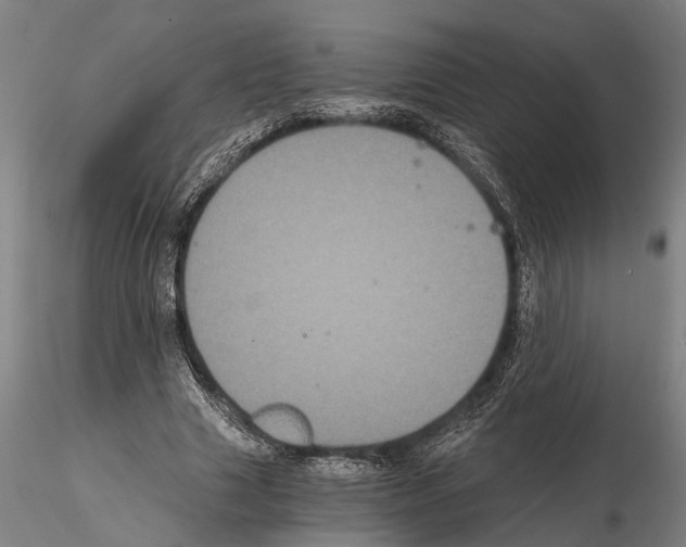 X0000114640633200912011049